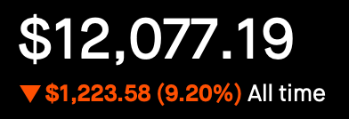 Portfolio - All Time - Feb 24, 2025 - Down 9.2%