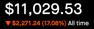 All Time Portfolio Status - Down 17.08%