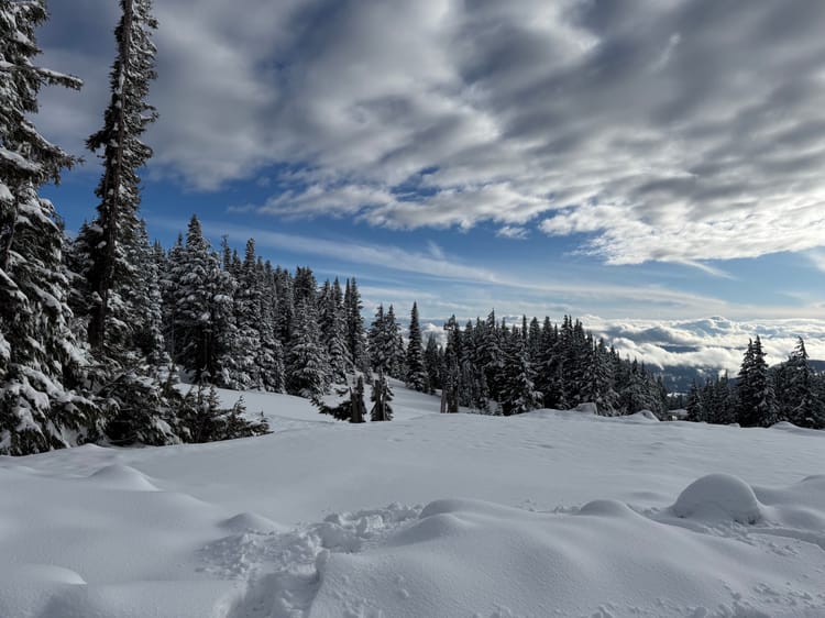 The Last Bit of Snow This Year. Timberline Lodge, Mt Hood, Oregon. Picture Credit - Me! Feb 15, 2026. 