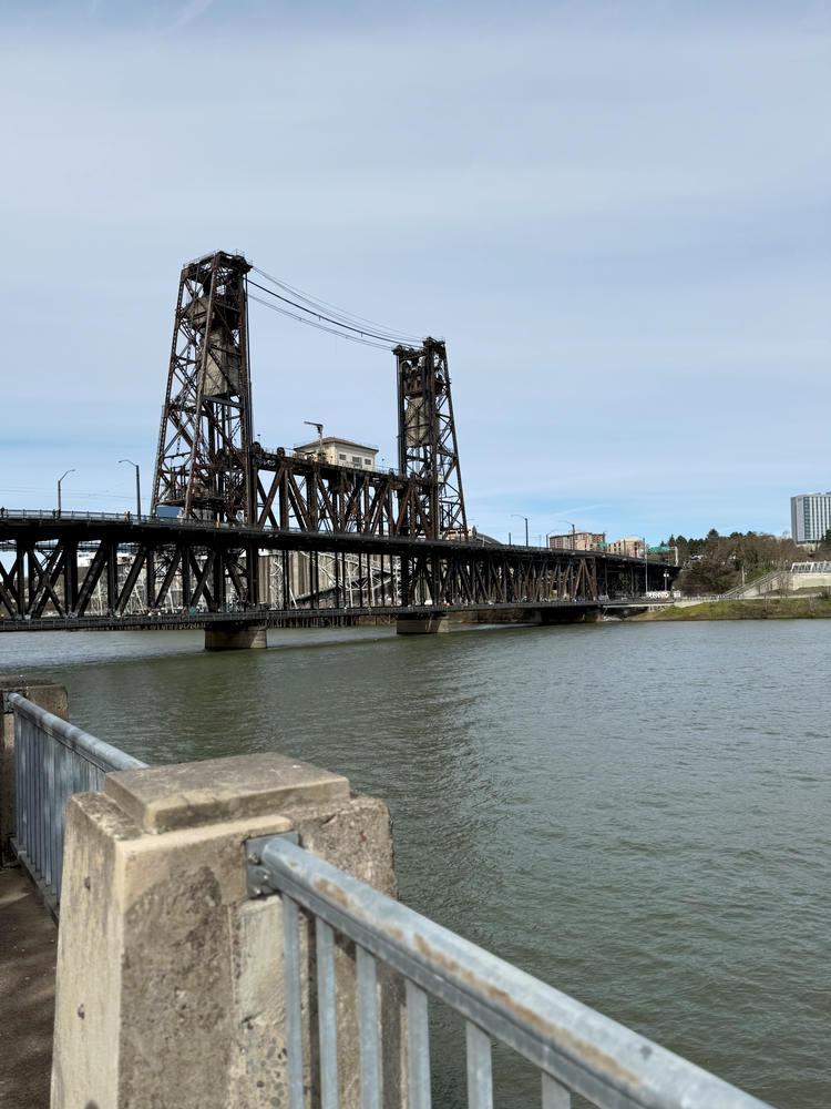 Portland Steel Bridge - Governor Tom McCall Waterfront Park (Picture Credit: Me!)