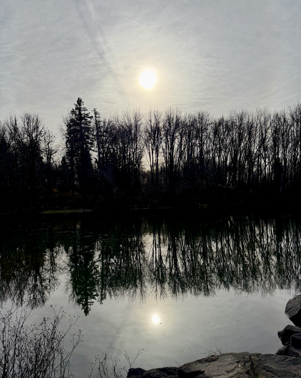 View of a pond about a mile away from my house. There is a reflection of the sun in the lake. Picture credit - me!