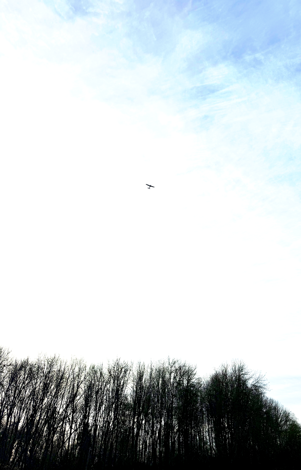 A small aircraft flying up in the sky with a backdrop of tall trees below it